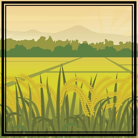 VIETNAM THEN AND NOW (Getting started)